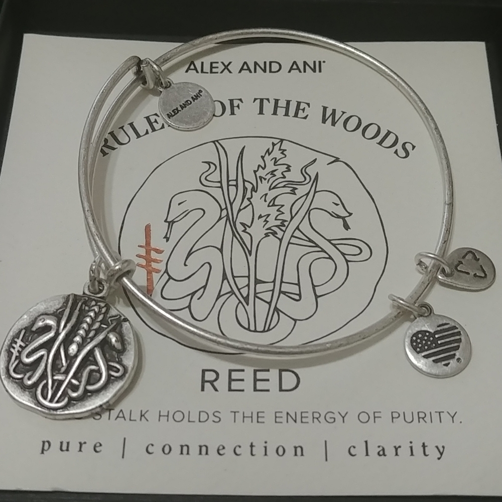 Alex And Ani Charm Bracelet